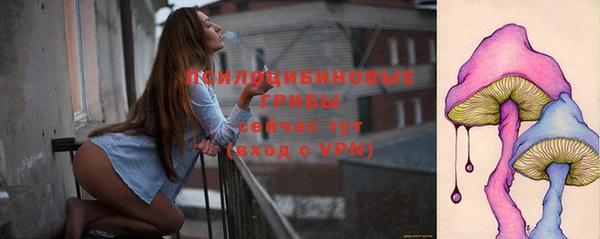 ГАЛЛЮЦИНОГЕННЫЕ ГРИБЫ Магас