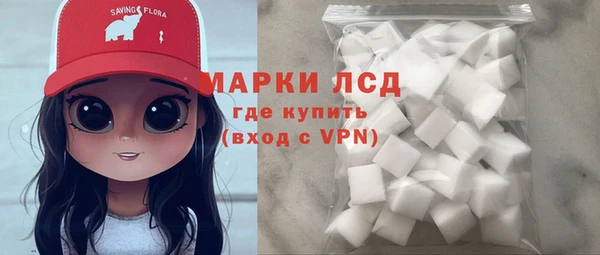 ГАЛЛЮЦИНОГЕННЫЕ ГРИБЫ Магас