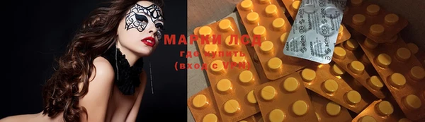 ГАЛЛЮЦИНОГЕННЫЕ ГРИБЫ Магас