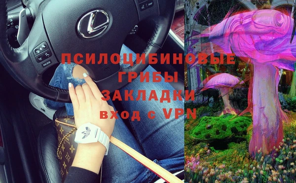 МДМА Медвежьегорск