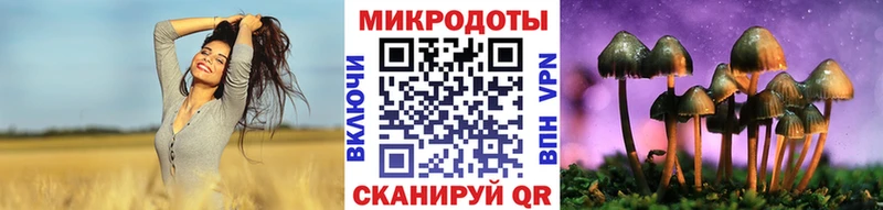 Псилоцибиновые грибы прущие грибы  Закаменск 