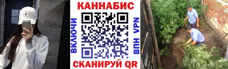 darknet Telegram  Закаменск  Канабис семена 